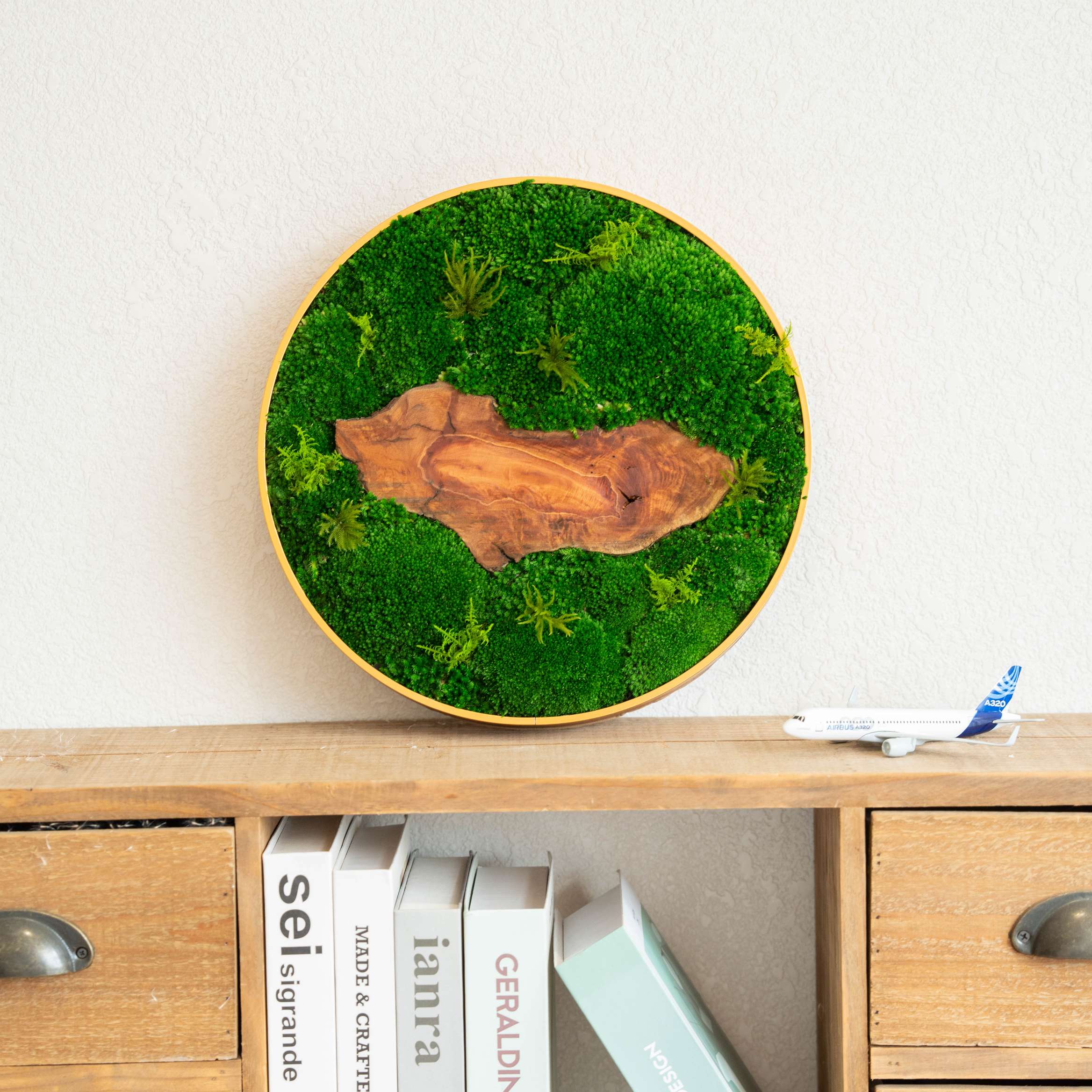 Substantial Preserved Moss Ideas for a Lush Indoor Garden